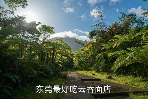東莞金添云吞的老板是，東莞五星級賓館是哪個富豪蓋的