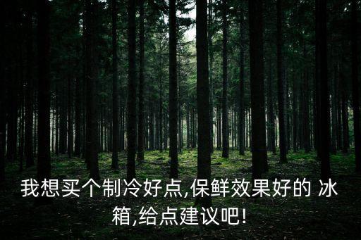 我想買個制冷好點,保鮮效果好的 冰箱,給點建議吧!