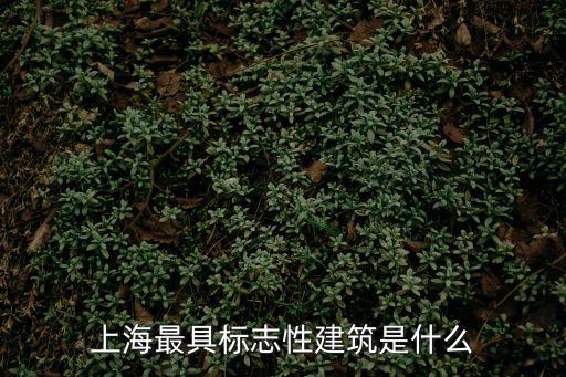 上海最具標(biāo)志性建筑是什么