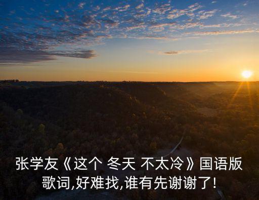 張學友《這個 冬天 不太冷》國語版歌詞,好難找,誰有先謝謝了!