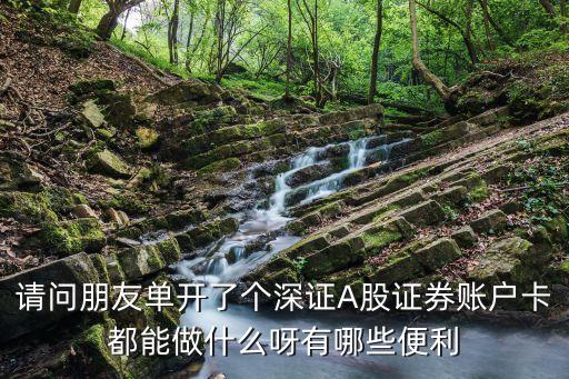 請(qǐng)問(wèn)朋友單開了個(gè)深證A股證券賬戶卡都能做什么呀有哪些便利