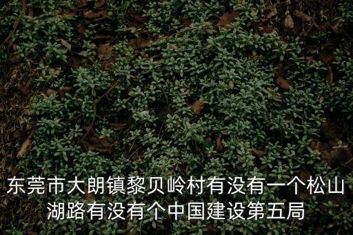 東莞市大朗鎮(zhèn)黎貝嶺村有沒有一個松山湖路有沒有個中國建設(shè)第五局