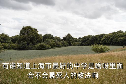 有誰知道上海市最好的中學是啥呀里面會不會累死人的教法啊