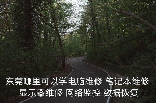 東莞哪里可以學(xué)電腦維修 筆記本維修 顯示器維修 網(wǎng)絡(luò)監(jiān)控 數(shù)據(jù)恢復(fù)