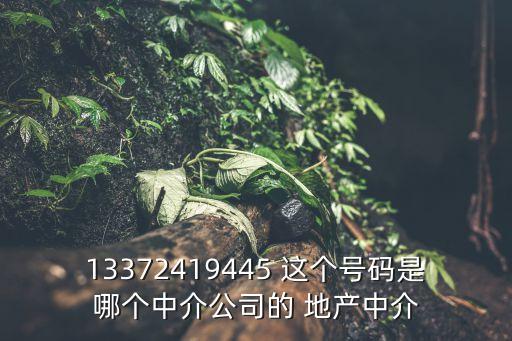 13372419445 這個號碼是哪個中介公司的 地產(chǎn)中介