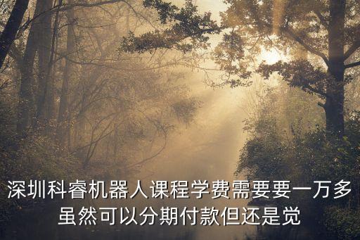 深圳科寶機器人，科寶總經理是誰啊求大神幫助