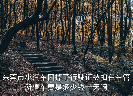 東莞金豐路停車收費(fèi)多少錢，東成停車場(chǎng)看車費(fèi)一天多少錢