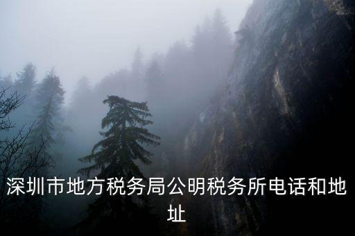 深圳市地方稅務(wù)局公明稅務(wù)所電話和地址