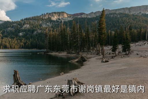 求職應聘廣東東莞市謝崗鎮最好是鎮內