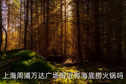 上海周浦萬達(dá)廣場(chǎng)附近有海底撈火鍋嗎