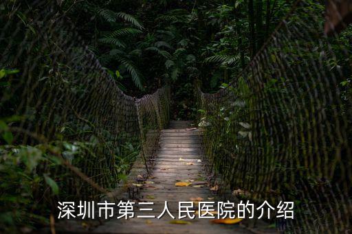 深圳市第三人民醫院的介紹