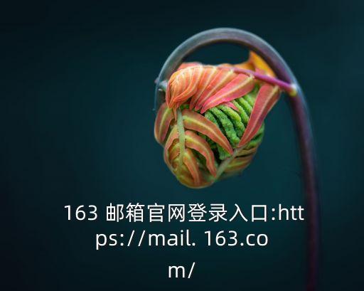 163免費郵箱登陸,163郵箱登錄如何登錄163163163