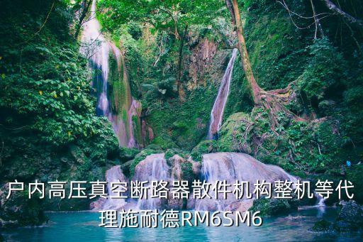 戶內(nèi)高壓真空斷路器散件機構(gòu)整機等代理施耐德RM6SM6