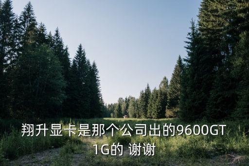 深圳翔升源電子，JIEHE ELECTRONICS COLTD是什么主板品牌