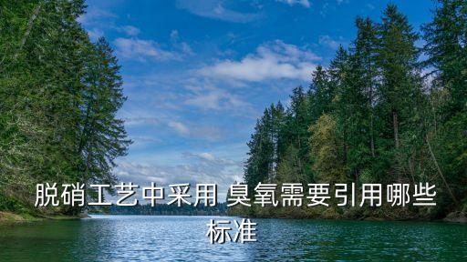  脫硝工藝中采用 臭氧需要引用哪些標(biāo)準(zhǔn)
