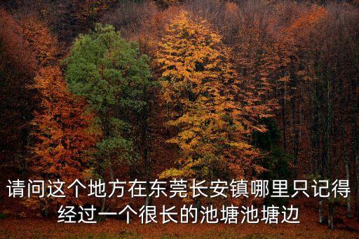 東莞長安鎮隆盛村，東莞市長安鎮那個村工作好找