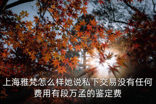 上海市雅園如何，上海雅鴿電動車的質(zhì)量怎么樣