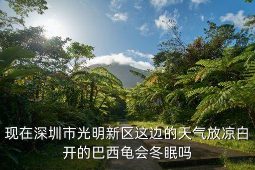 深圳市光明新區(qū)天氣，今晚深圳光明區(qū)會(huì)下雨嗎
