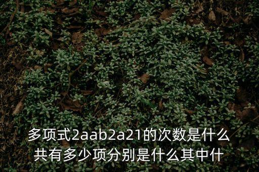 多項式2aab2a21的次數(shù)是什么共有多少項分別是什么其中什
