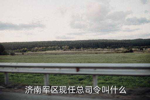  濟南軍區現任總司令叫什么