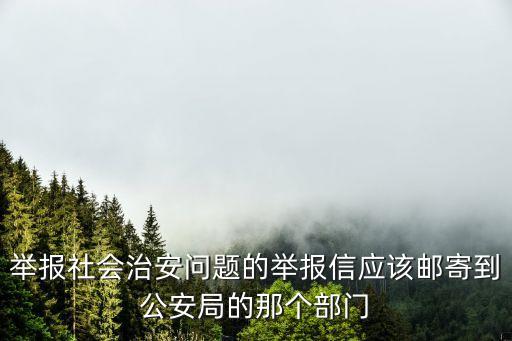 舉報社會治安問題的舉報信應該郵寄到公安局的那個部門