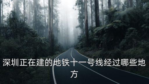 深圳正在建的地鐵十一號(hào)線經(jīng)過哪些地方