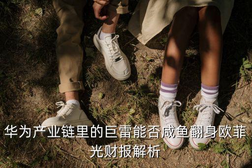 華為產(chǎn)業(yè)鏈里的巨雷能否咸魚翻身歐菲光財報解析