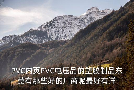 PVC內(nèi)頁PVC電壓品的塑膠制品東莞有那些好的廠商呢最好有詳