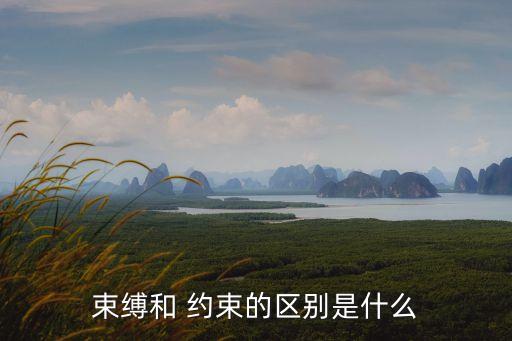 約束,束縛和約束的區別在于什么?
