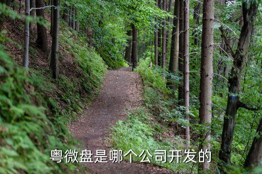 深圳瑞銀貴金屬科技有限公司一，粵微盤是哪個公司開發的