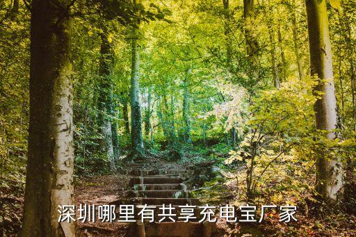 深圳共享充電寶在哪里，綠點(diǎn)科技深圳在哪里