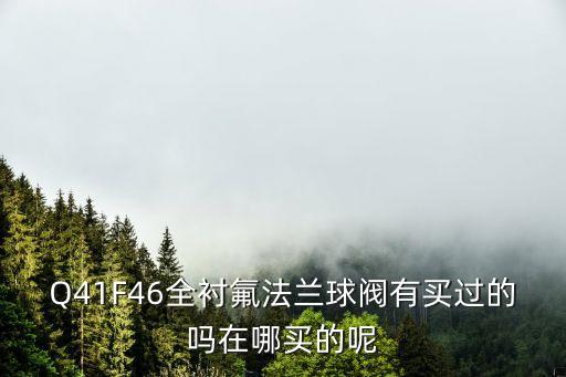 Q41F46全襯氟法蘭球閥有買過的嗎在哪買的呢