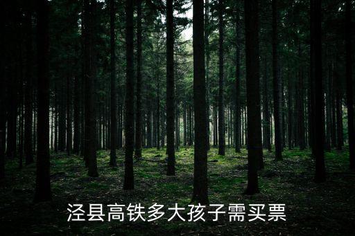 涇縣高鐵多大孩子需買票