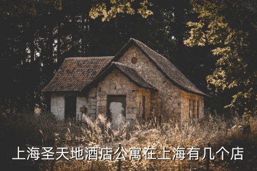 上海圣天地酒店公寓在上海有幾個店