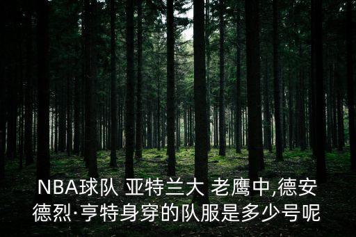 亞特蘭大老鷹隊