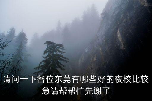 請問一下各位東莞有哪些好的夜校比較急請幫幫忙先謝了