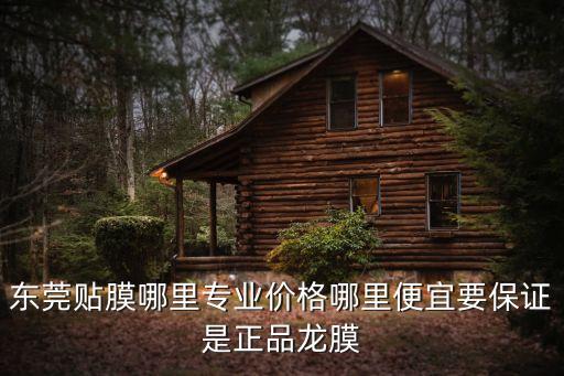 東莞貼膜哪里專業(yè)價(jià)格哪里便宜要保證是正品龍膜