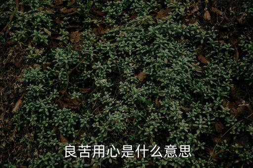 良苦用心和用心良苦有什么區(qū)別,第二集:選民投票日的評論