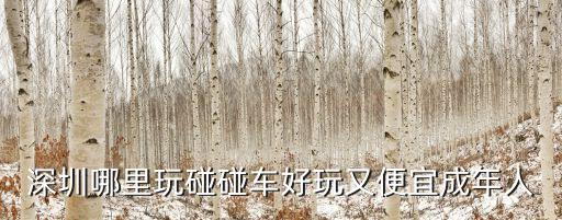 深圳大成碰碰車，深圳哪里玩碰碰車好玩又便宜成年人