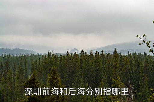 深圳前海和后海的關(guān)系，深圳的前海和后海怎么劃分的