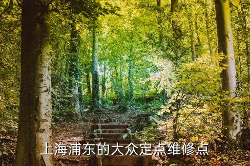 上海市公務(wù)用車(chē)定點(diǎn)維修名單，上海浦東的大眾定點(diǎn)維修點(diǎn)
