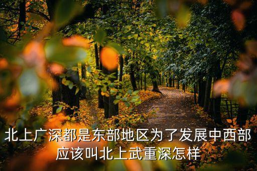 北上廣深都是東部地區為了發展中西部應該叫北上武重深怎樣