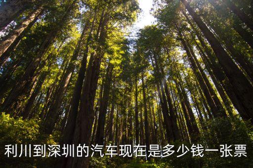 利川到深圳汽車票，利川到深圳的汽車現在是多少錢一張票