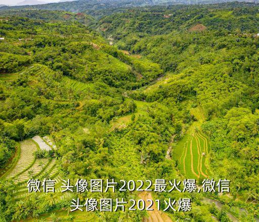 炫酷頭像