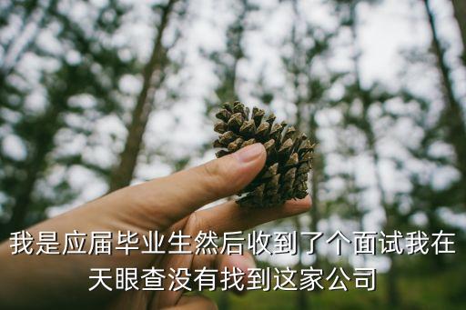 東莞燁輝光電天眼，有朋友是東莞的嗎是否有間公司名威爾斯電子科技有限公司