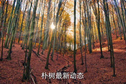 樸樹深圳演唱會轉(zhuǎn)讓，他有在低價出售今年八月七號的bigbang 深圳春繭體育館演唱會門