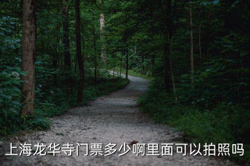 上海龍華寺門票多少啊里面可以拍照嗎