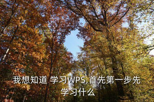 我想知道 學(xué)習(xí)WPS,首先第一步先 學(xué)習(xí)什么