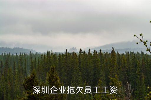 深圳企業拖欠員工工資