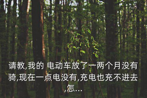 請教,我的 電動車放了一兩個月沒有騎,現在一點電沒有,充電也充不進去,怎...